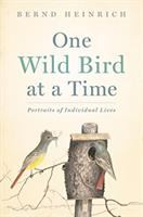 One_wild_bird_at_a_time