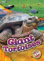 Giant_tortoises