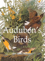 Audubon_s_Birds