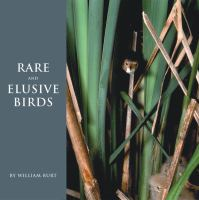Rare_and_elusive_birds_of_North_America