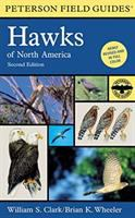 A_field_guide_to_hawks_of_North_America
